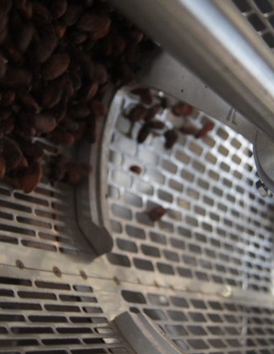 Clasificadora de cacao 4