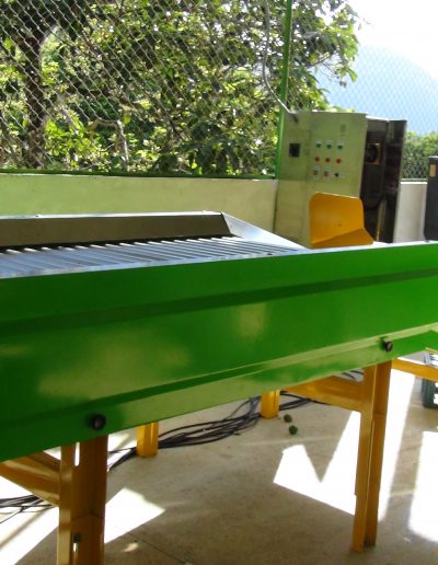 Clasificadora-de-limones-WTA-Uramita-(23)