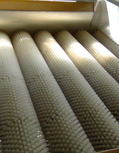 Clasificadora de limones WTA Uramita (47)