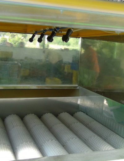 Clasificadora de limones WTA Uramita (50)