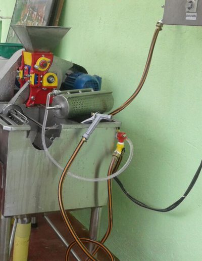 Despuladora de muestras de café cereza 2