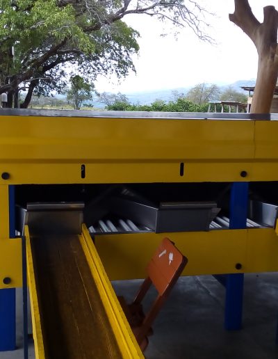 Máquina Limpiadora y Clasificadora de Cíctricos (10)