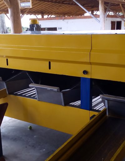 Máquina Limpiadora y Clasificadora de Cíctricos (4)