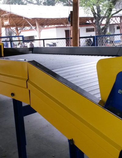 Máquina Limpiadora y Clasificadora de Cíctricos (6)