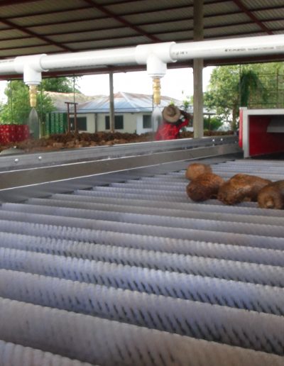 Máquina lavadora y clasificadora de ñame (10)