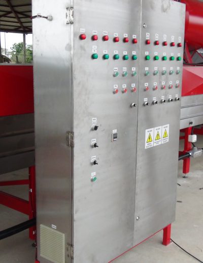 Máquina lavadora y clasificadora de ñame (11)