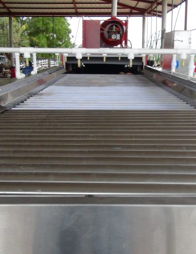 Máquina lavadora y clasificadora de ñame (12)