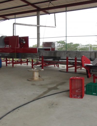 Máquina lavadora y clasificadora de ñame (13)