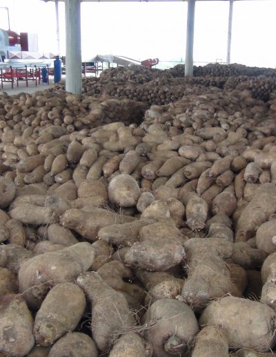 Máquina lavadora y clasificadora de ñame (16)