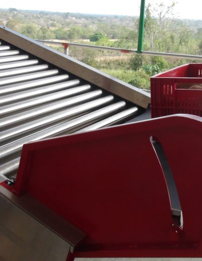 Máquina lavadora y clasificadora de ñame (3)