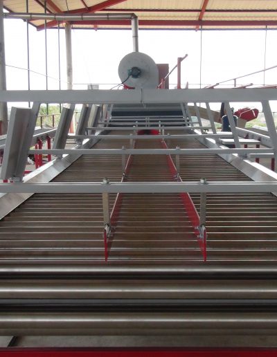 Máquina lavadora y clasificadora de ñame (8)