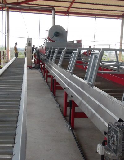 Máquina lavadora y clasificadora de ñame (9)